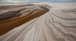 Песчаные дюны Бразилии (15 фотографий)