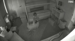 Два золотистых ретривера помогли девочке выбраться из её кроватки, чтобы вместе отправиться бродить по дому (4 фото + 2 видео)