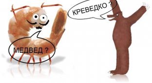 Йа креведко продолжает шагать по рунету (5 фото)