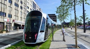 В Люксембурге полностью отменили плату за проезд на общественном транспорте (7 фото)