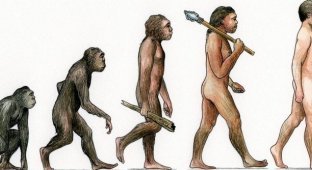 Мифы об эволюции человека (10 фото)