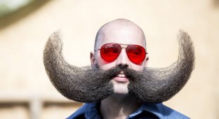 18 умопомрачительных портретов участников Всемирного чемпионата бород и усов 2015 (18 фото)