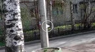 Видео из российского Петербурга