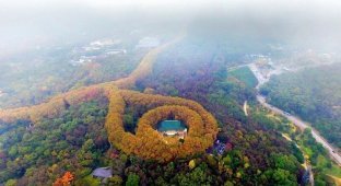Дворец Мэй-Лин возле Нанкина похож на гигантское ожерелье (8 фото)