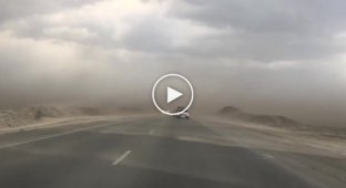Сильный ветер в Тюмени