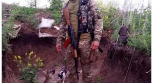Чем занимаются на Донбассе лучшие друзья бойцов АТО 22