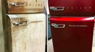 Реинкарнация старого холодильника: 15 классных для умельцев (15 фото)