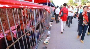 Китайская ярмарка с бомжами за решеткой (4 фото)