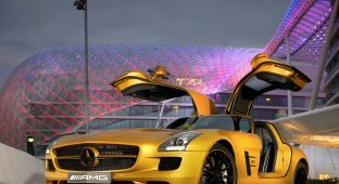Самые лучшие автомобили 2011 по версии Playboy (10 фото)