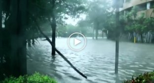 Шокирующие видео из затопленного Майами