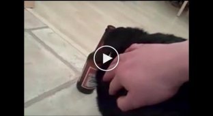 Собака не отдает пиво