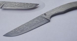 Необычные авторские ножи (9 фото)
