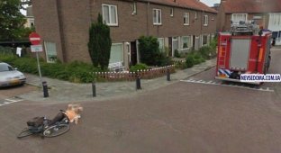 Google Street View засек как сбили старушку (4 фото)
