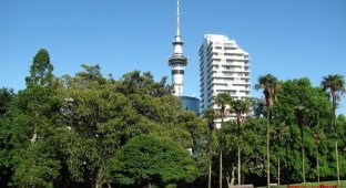 Окленд - крупнейший город Новой Зеландии (51 фото)