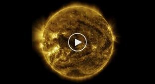 НАСА показало год из жизни Солнца