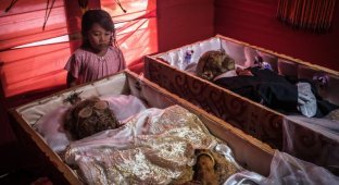 Традиционный уход за умершими на острове Сулавеси (10 фото)