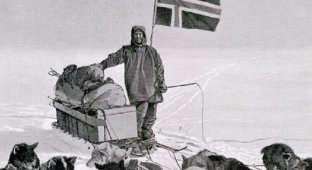 Как человек впервые покорил Южный полюс