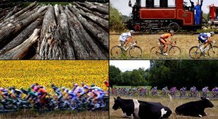 Тур-де-Франс-2011: хаос, аварии и выдержка (51 фото)