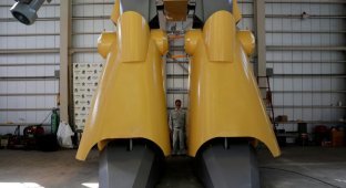 Японский инженер собрал 9-метрового двуногого робота с пушкой (15 фото)