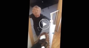 Дисциплинированный мальчик который любит помогать маме кормить собак