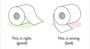 Как правильно пользоваться туалетной бумагой (5 Фото)