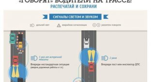 Что обозначают сигналы водителей на дорогах (5 картинок)