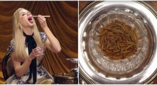 Николь Кидман с аппетитом съела червей, гусениц и кузнечиков (1 фото + 3 видео)