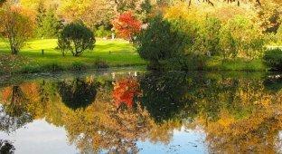 Осень в Японских садах (14 фотографий)