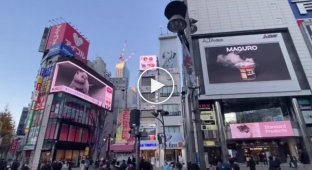 Реклама в Токио вышла на новый уровень