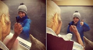 7-летний мальчик и 93-летний мужчина стали друзьями по переписке (4 фото)