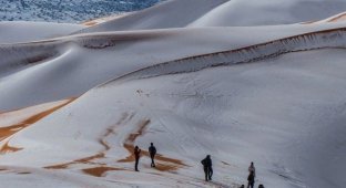 В пустыни Сахара второй год подряд выпал снег (9 фото)