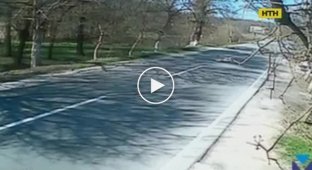 Полицейские в Закарпатье разбились на ровной дороге