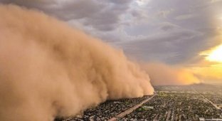 Из кабины вертолета: впечатляющие снимки песчаной бури, наступающей на город (8 фото)