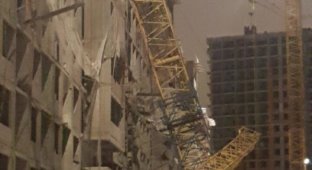 Последствия падения башенного крана в Петербурге попали на видео