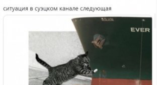 Шутки и мемы про возобновление навигации в Суэцком канале, который заблокировало судно Ever Given (14 фото)