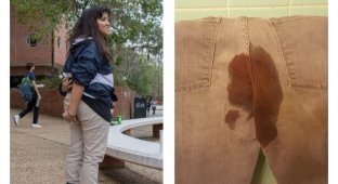 Студенты университета Флориды возмутились отсутствием бесплатных тампонов и испачкали штаны (5 фото)