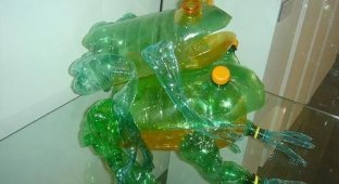 Сделано из пластиковых бутылок (14 фото)