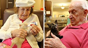 Обитатели дома престарелых ухаживают за приютскими котятами (8 фото)