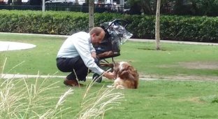 Фотография этого мужчины и его пса затронула сердца миллионов людей (1 фото)