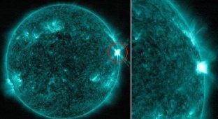 НАСА сфотографировало вспышку на Солнце (5 фото + 2 видео)