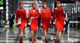 Наряды стюардесс разных авиакомпаний мира (10 фото)