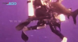 На немку у берегов египетского Марса-эль-Алама напала акула (4 фото + 1 видео)