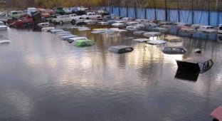 Затопленная парковка (4 фото)