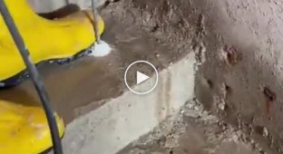 Когда в бетоне нашел источник воды