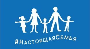 Флаг гетеросексуалов от «Единой России» оказался плагиатом (3 фото)