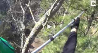 Спасение кота, просидевшего неделю на 20-метровом дереве
