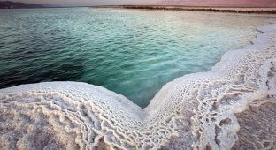 Мертвое море (14 фото)