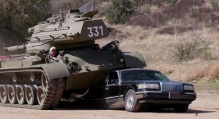 Арнольд Шварценеггер переехал лимузин на своем танке (1 фото + 1 видео)