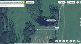 Во Владимирской области исчезло лесное озеро Саканцы (2 фото + видео)