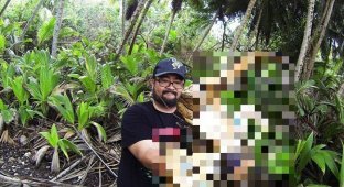 Отважный турист и кокосовый рак (2 фото)